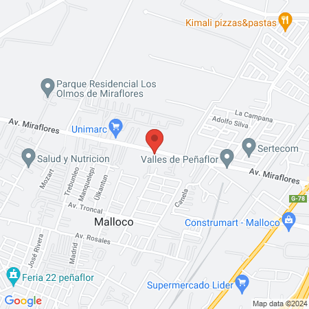 Consulta veterinaria animal balance map