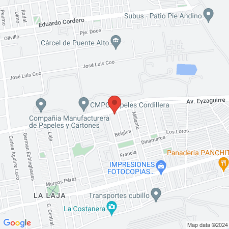 Hospital Veterinario Nuevo Porvenir map