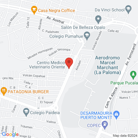 Clínica Veterinaria y Centro de Rehabilitación animal Terra Vet map