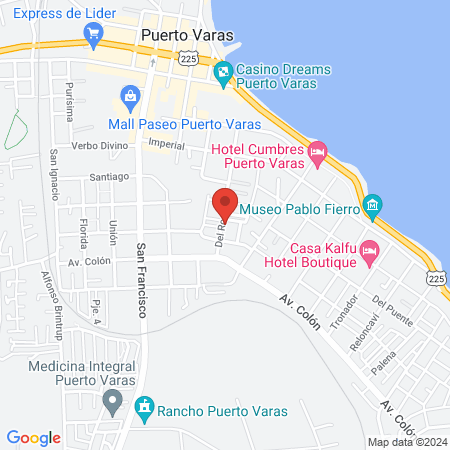 CVM Centro Veterinario Municipal map