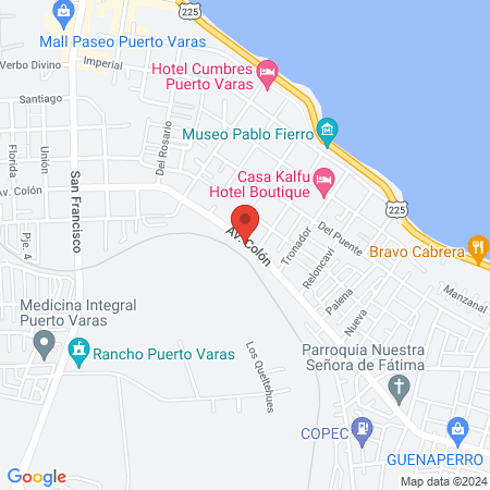 Asevet Clinica Veterinaria y Control de Plagas map