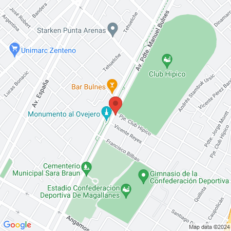 Clínica Vitalis - Dentista Punta Arenas map