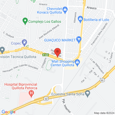 Mi Mundo Vet map