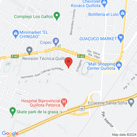 Clinica Veterinaria Vetanimalshome Quillota map