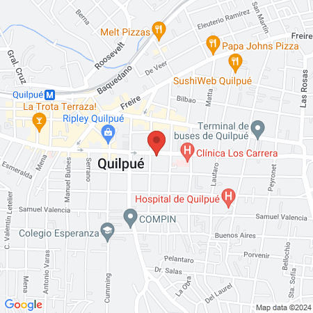 Clínica Veterinaria Los Castaños Sucursal Quilpué map