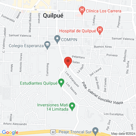 Clinica Veterinaria Dra. Dolly map
