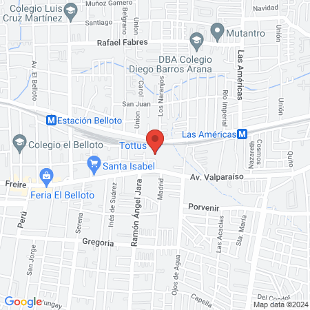 Pet Kingdom Neuro Veterinaria map