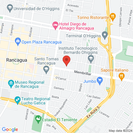 Hospital Veterinario O'higgins map