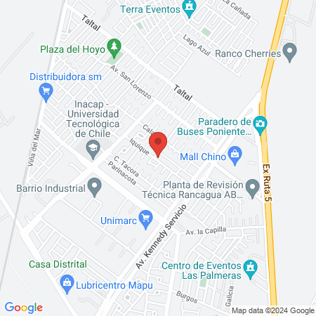 Clínica Veterinaria Nelson Pereira map