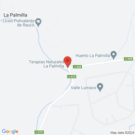Terapias Naturales La Palmilla map
