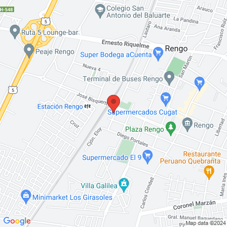 Consulta Veterinaria el Alerce map