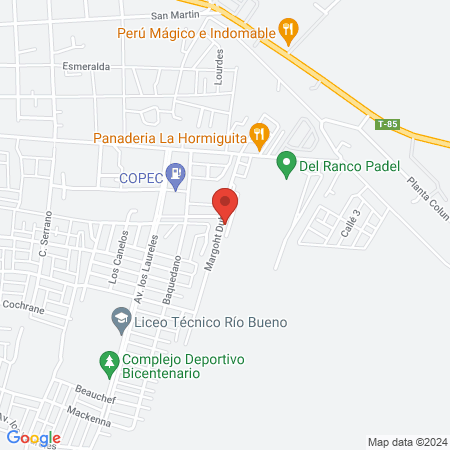 Clinica Veterinaria Rio Bueno map