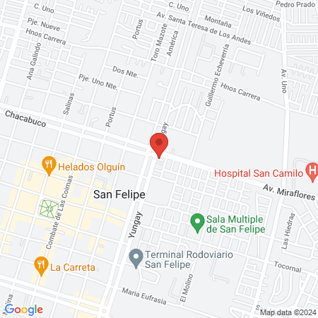 Centro Veterinario PuntoVet map