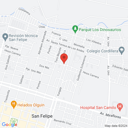 Aconcaguavet Clínica Veterinaria map