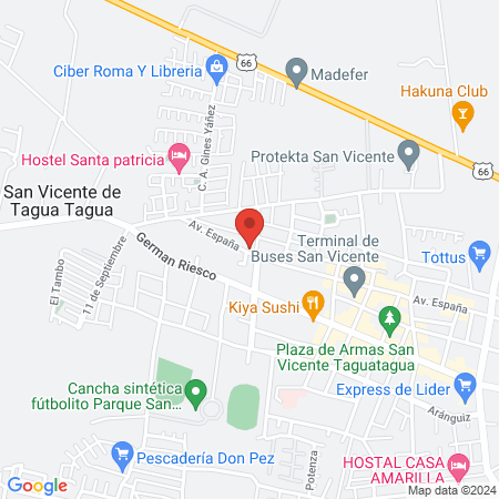Clínica Veterinaria Doctora Paola chelsi map