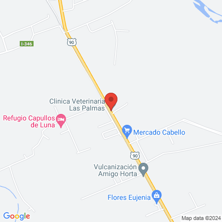 Clinica Veterinaria Las Palmas map