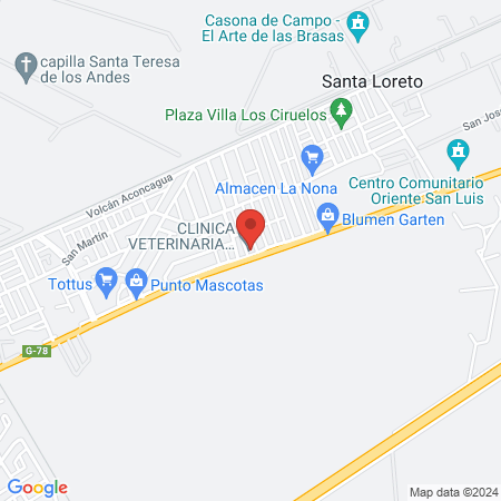 CLINICA VETERINARIA VIDANIMAL map