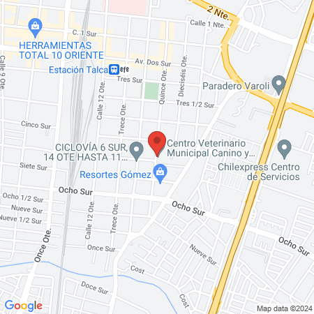 Centro Veterinario Municipal Canino y Felino De Talca map