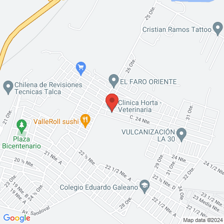 Clinica Horta - Veterinaria map