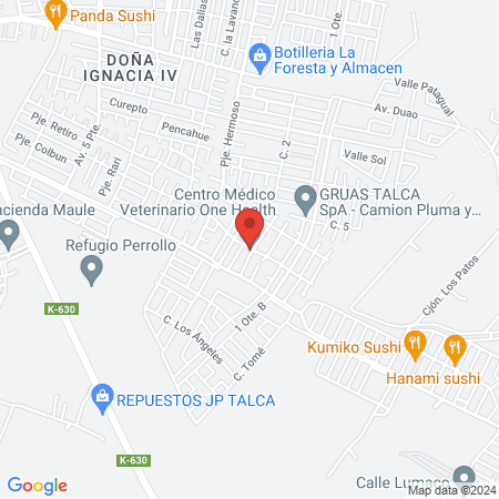 Centro Médico Veterinario One Health map