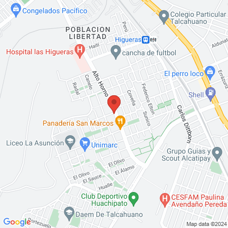 Peludogs Talcahuano Peluqueria Para Mascotas map