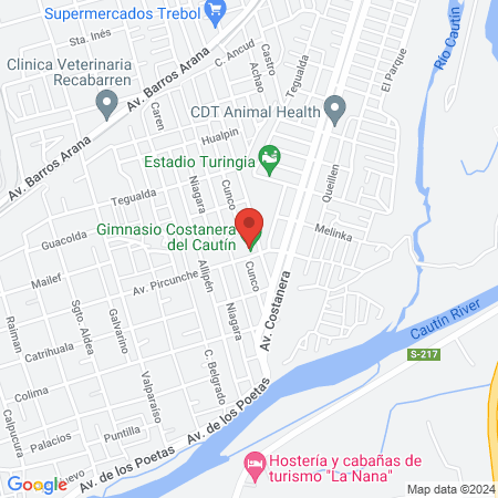 Gimnasio Costanera del Cautín map