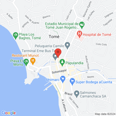 Veterinaria Los Nogales - Dr. Alvaro Flores P. map