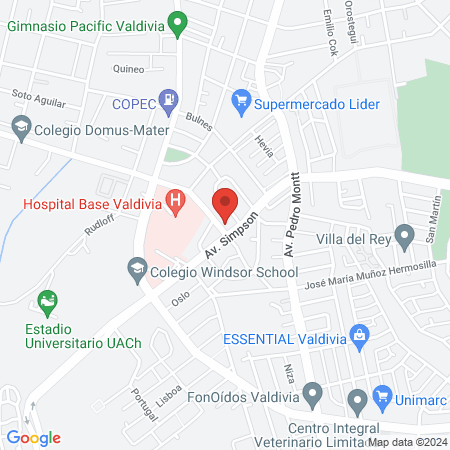 FThaus - valdivia map