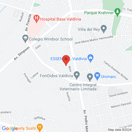 Yoga Yatra Valdivia map