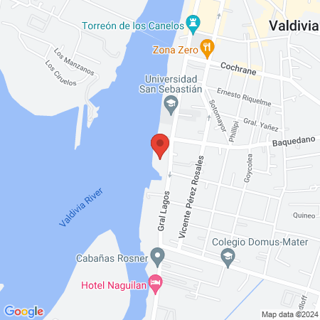 Cedet Valdivia map