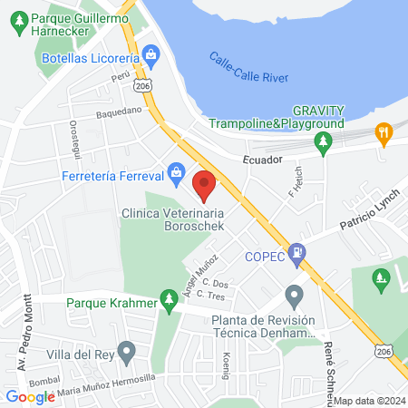 Clinica Veterinaria Boroschek map