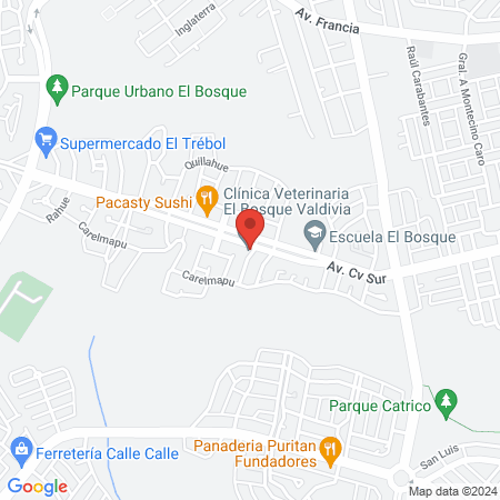 Clínica Veterinaria El Bosque Valdivia map