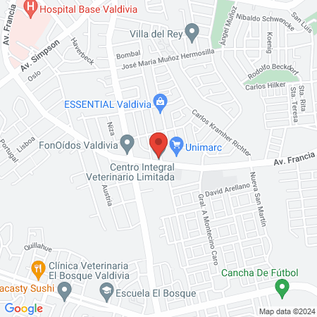 Centro Integral Veterinario Limitada map