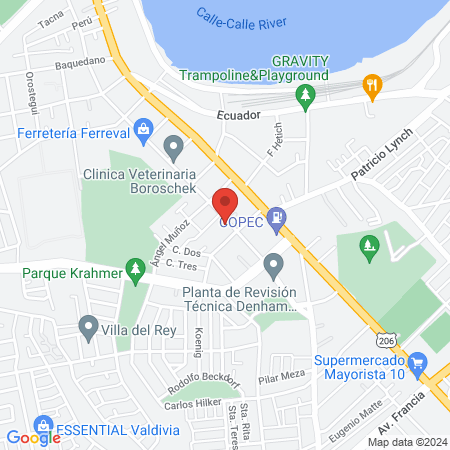 VetChic Valdivia map