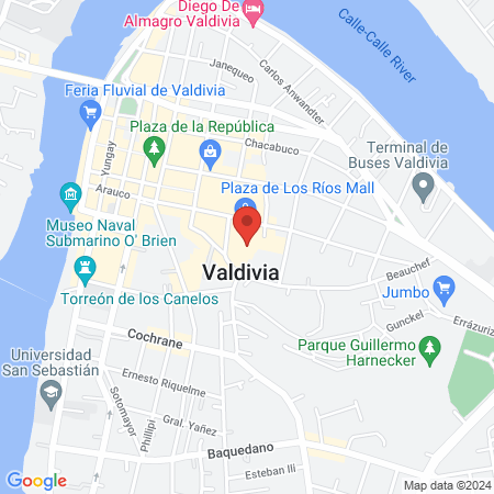 Clinica Dra Paula Ulloa map