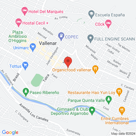 Centro Veterinario Vallenar map