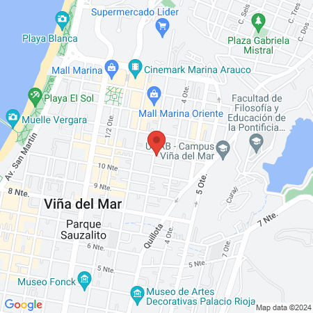 Viña Vet - Clínica Veterinaria de Exóticos map