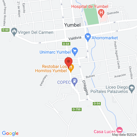 MI VET CLÍNICA VETERINARIA map