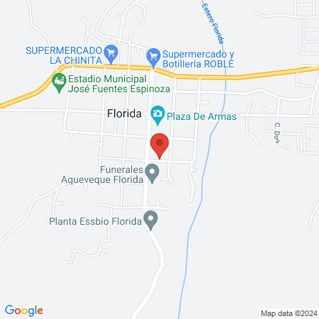 Clínica Dental Claudio Alegría Chichizola map