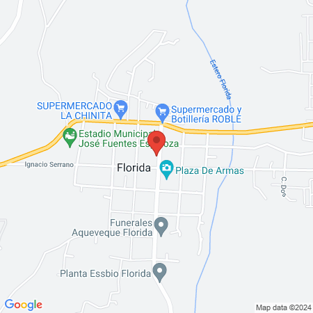 Pewün map