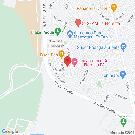 Vintage la barberia de hualpen map