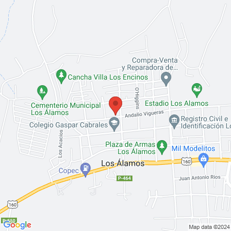 Centro Veterinario Los Álamos map
