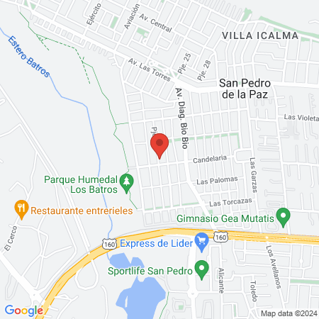 Kinesióloga Alejandra navarro map