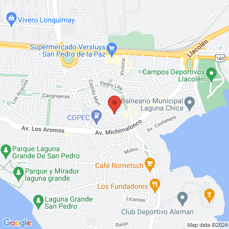 Hospital Veterinario Skinvet 24/7 map