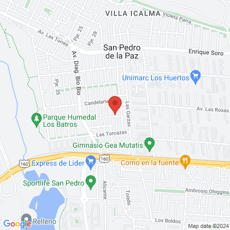 Clínica Veterinaria Mainhard map