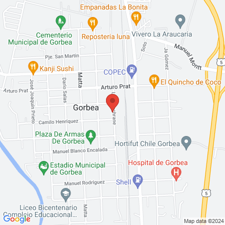 Clinica Veterinaria El Arriero map