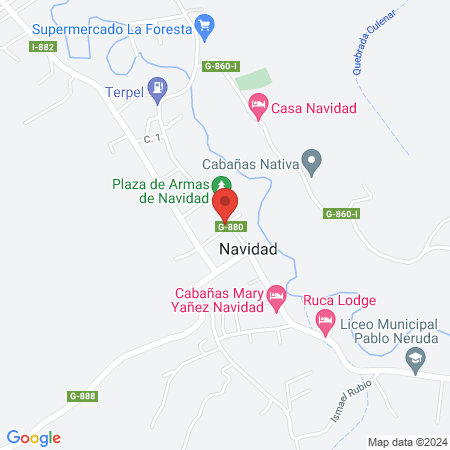 Salon Actitud tu salon navidad map