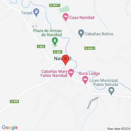 Veterinaria Navidad map