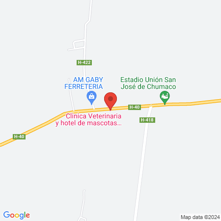 Clinica Veterinaria y hotel de mascotas OLIVET SPA map