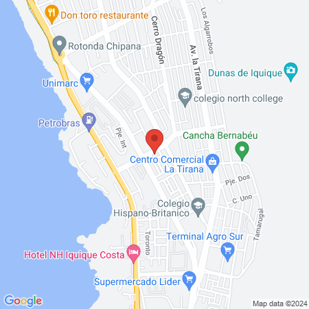 Bigotitos Clínica Veterinaria map